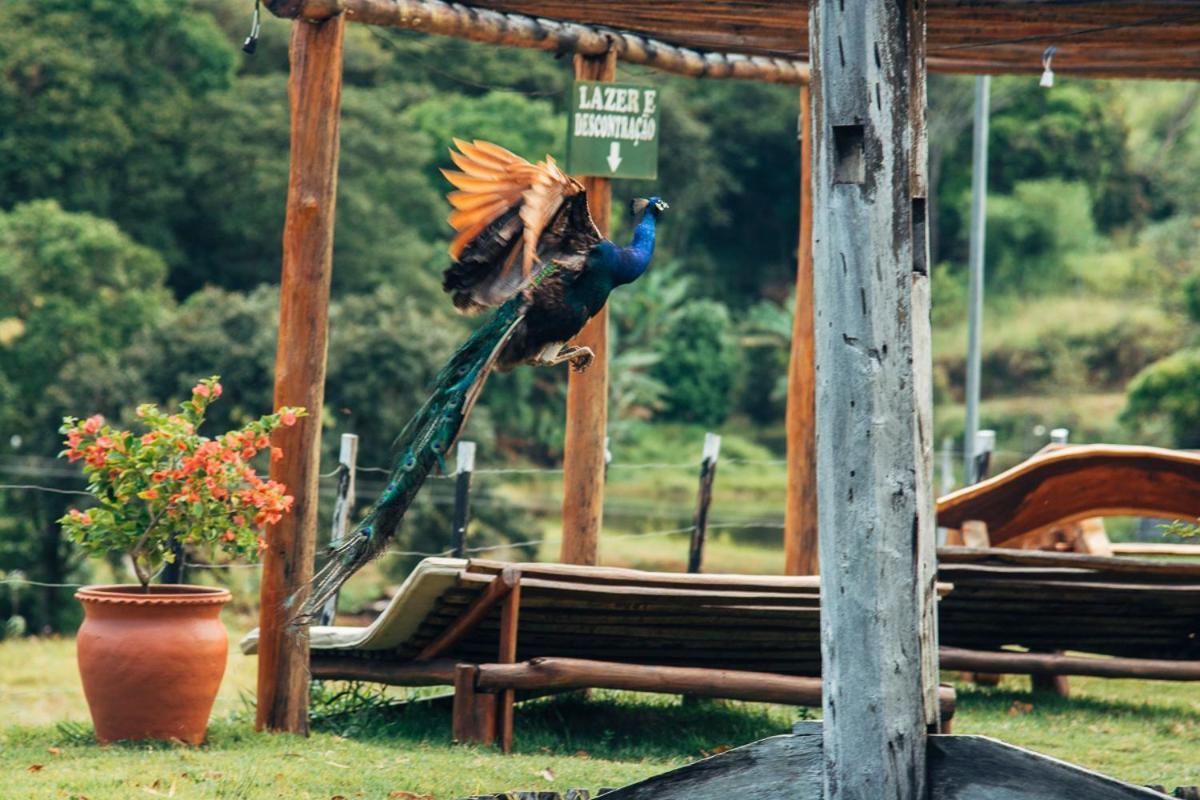 Hotel Fazenda Pedra Do Rodeadouro Bonito  Bagian luar foto